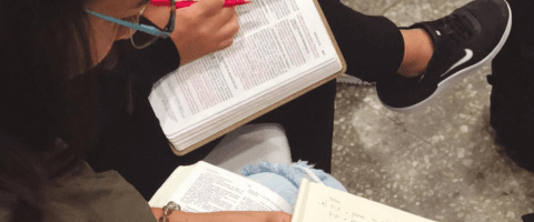 actividad: C.C.B., los dias: a Definir 